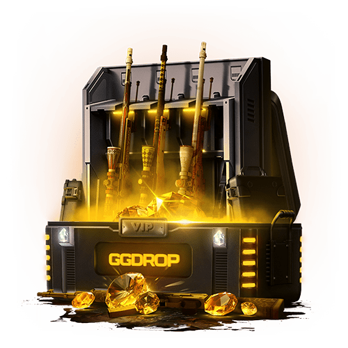 VIP Case